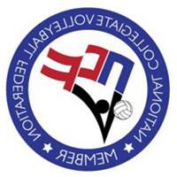 Volleyball league logo